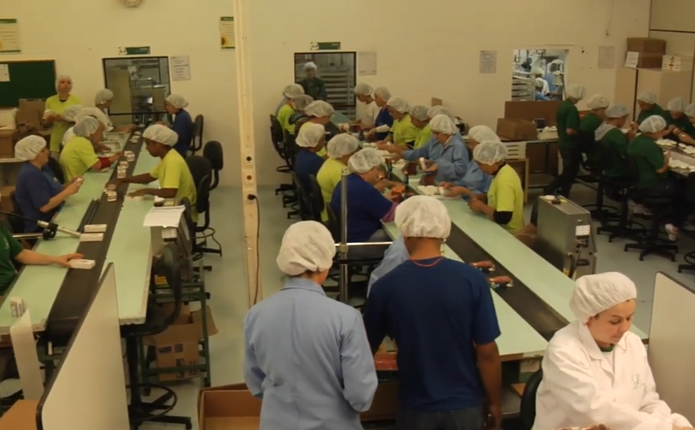 30 vagas abertas para Auxiliar de Produção em Campo Largo e Curitiba ...