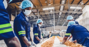 Indústria de Alimentos abre vaga para Auxiliar de Produção – 1º Turno