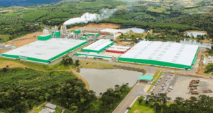 Grande empresa em Curitiba abre novas vagas para Linha de Produção