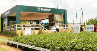 Biotrop abre vagas para Jovem Aprendiz em diversas áreas e cursos superiores