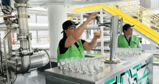 Auxiliar de Produção para Fábrica de Cervejas no Bom Retiro Curitiba