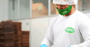 Vitao contrata Auxiliar de Produção com pacote completo de benefícios em Curitiba